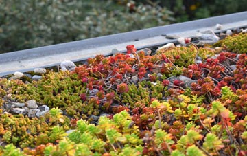 the cost of Roudham green roof installation