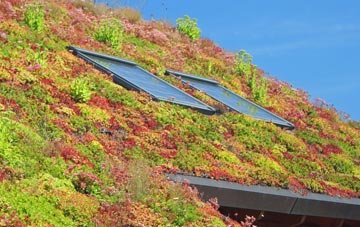 Roudham living roof systems